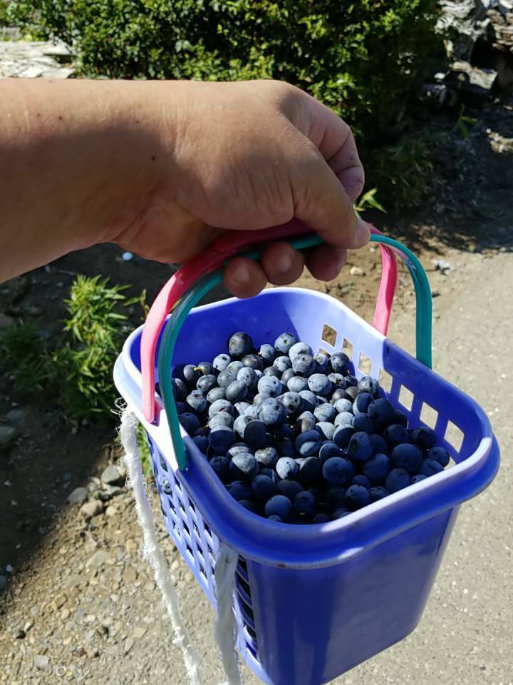 a0053063_22540548.jpeg