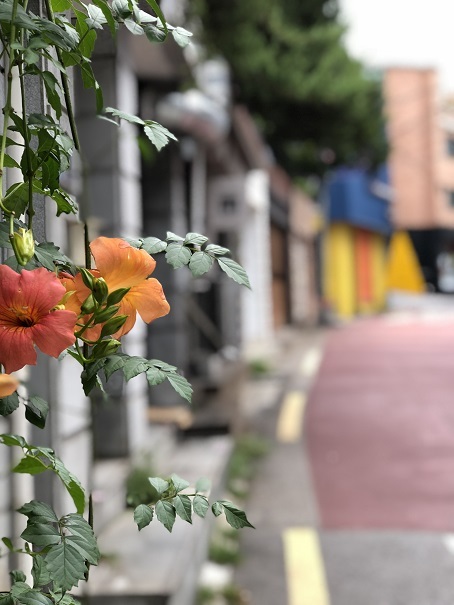 b0060363_23205213.jpeg