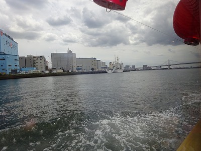 d0074063_07340559.jpg