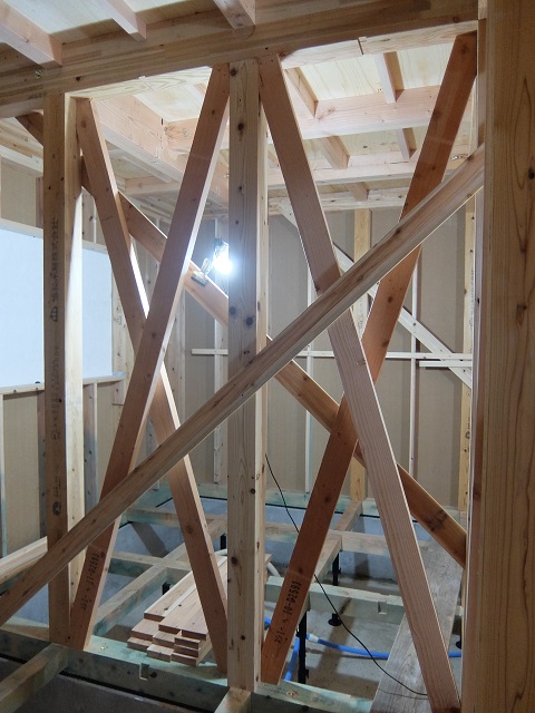 c0247768_84419.jpg