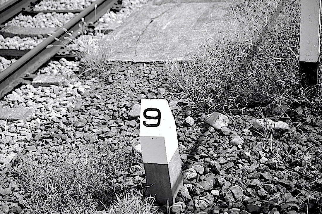 d0175768_14381012.jpg