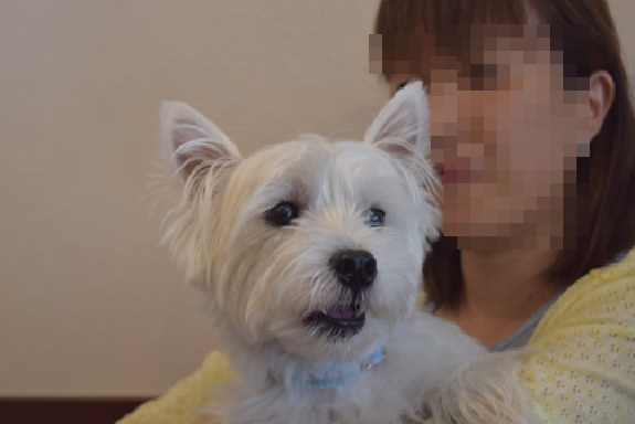 b0242873_12414589.png