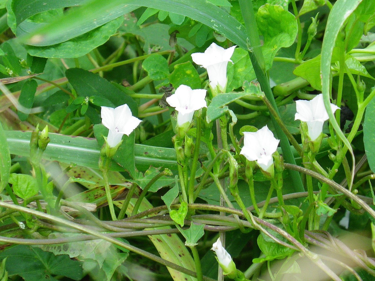 d0054276_20351034.jpg