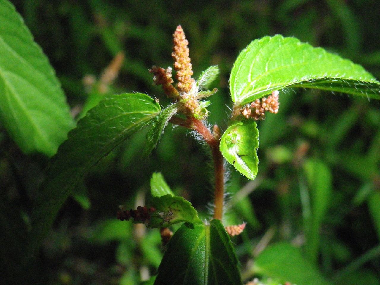 d0054276_20385737.jpg