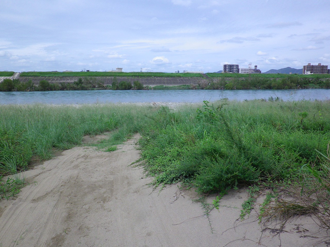 d0054276_2039822.jpg