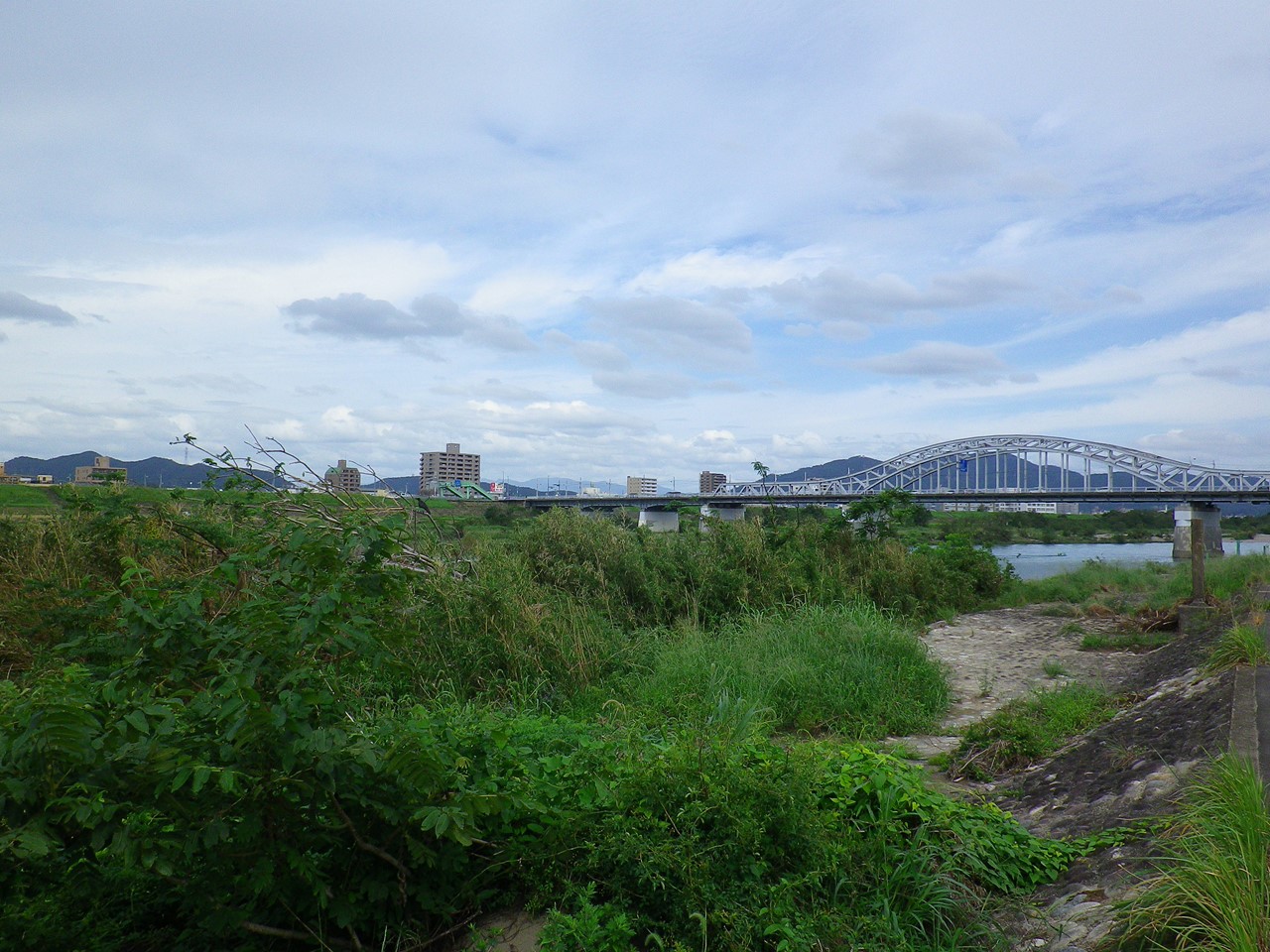 d0054276_2041027.jpg