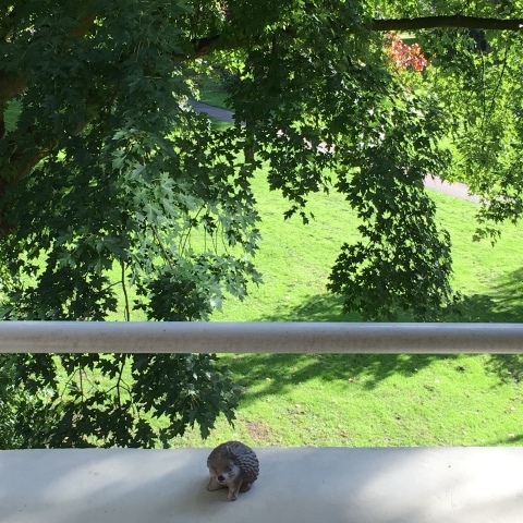 f0275876_23361320.jpeg