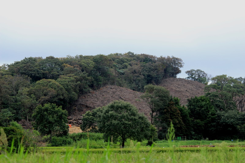 b0093678_20492484.jpg