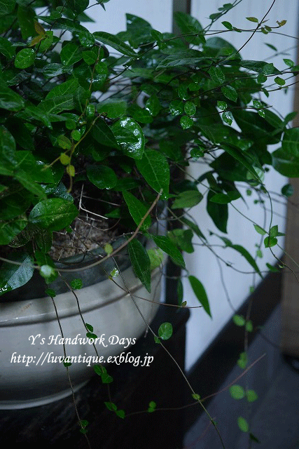 f0330978_09564298.gif