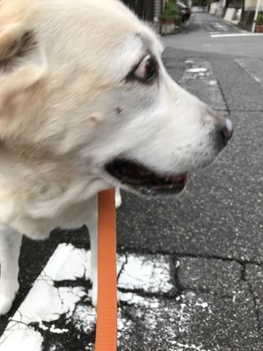f0315081_22251210.jpeg