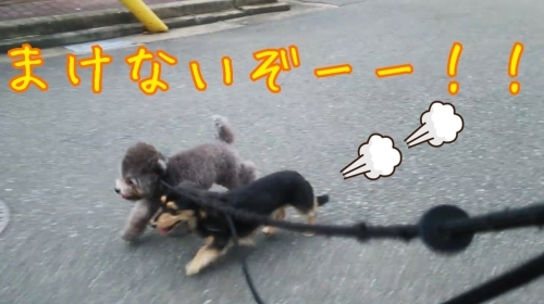 トレーニングブログ_f0357682_21164598.jpg