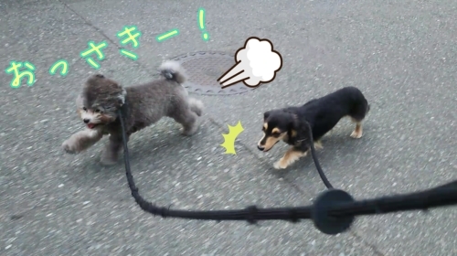 トレーニングブログ_f0357682_21191329.jpg