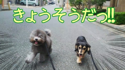 トレーニングブログ_f0357682_21213921.jpg