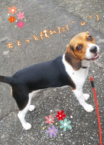 トレーニングブログ_f0357682_21430534.jpg