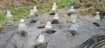 f0003283_06542612.jpg