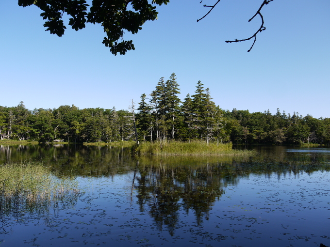 c0171889_1153650.jpg