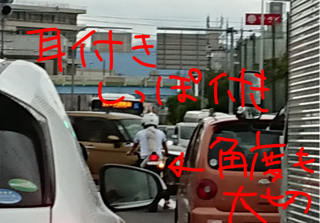 e0167593_22520552.png