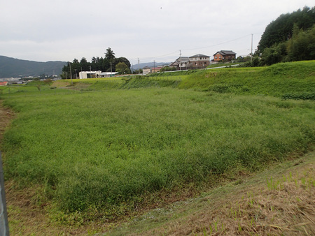 a0026295_1702155.jpg