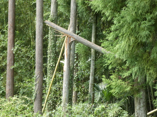c0108198_17471549.jpg
