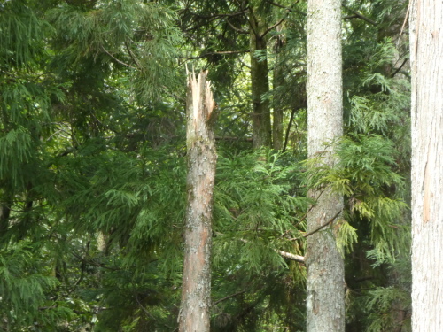 c0108198_17472440.jpg