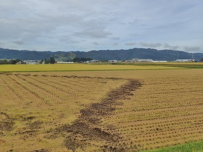 9月の配送日でした_c0336902_19523279.jpg