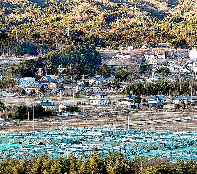 a0044103_11105630.jpg