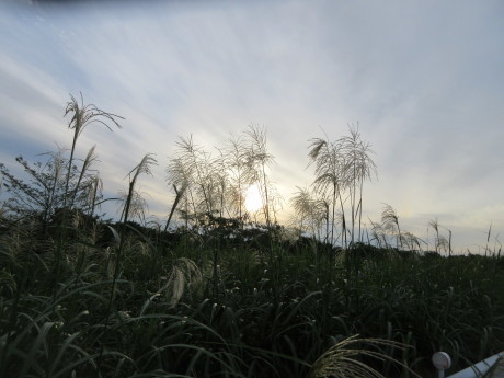 a0203003_20070170.jpg