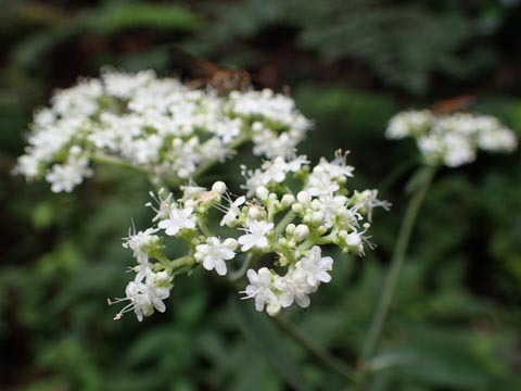 e0293913_21042615.jpg