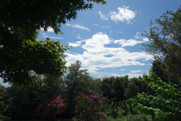 b0290816_07261255.jpg