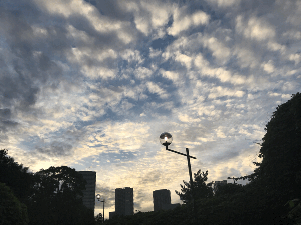 d0339617_18453880.gif
