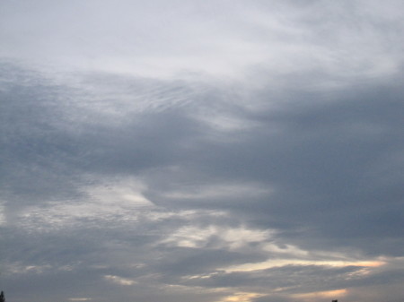 a0174419_12003294.jpg