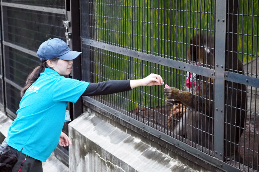 夜の動物園 ~日本平動物園~_f0224624_15532121.jpg