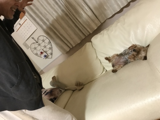 d0161525_10474101.jpeg