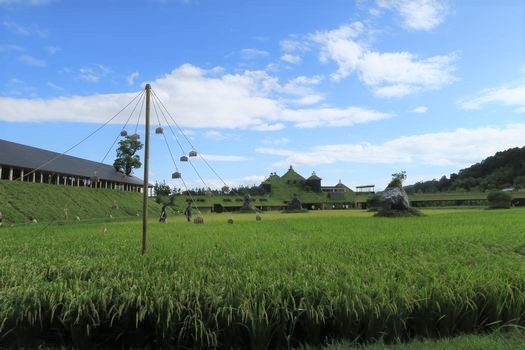 c0134734_01184176.jpg
