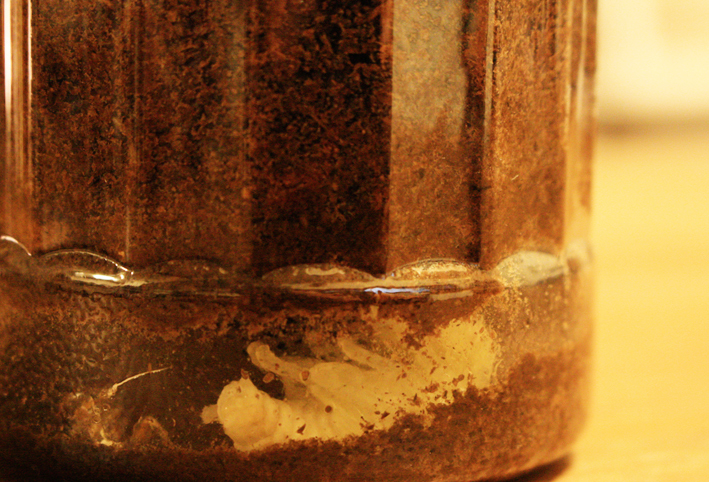 d0351435_10100153.jpg