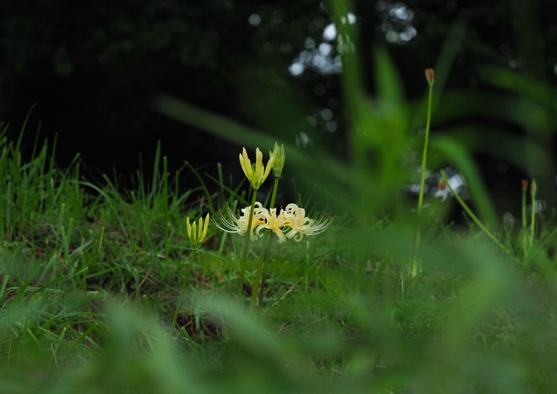 d0290240_12411760.gif