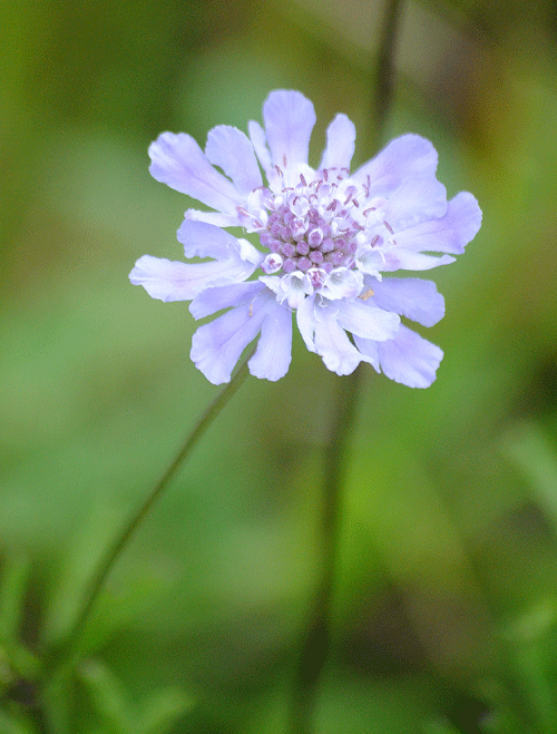 a0001354_23241706.gif