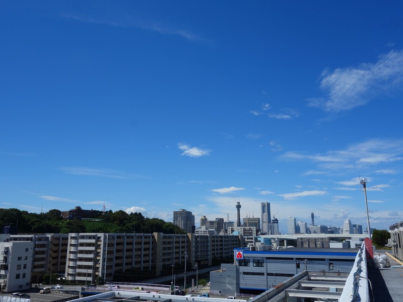 f0291154_06566.jpg