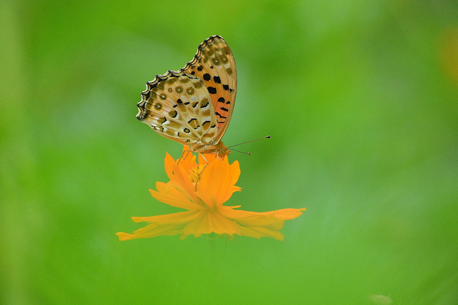 d0387460_00275476.jpg