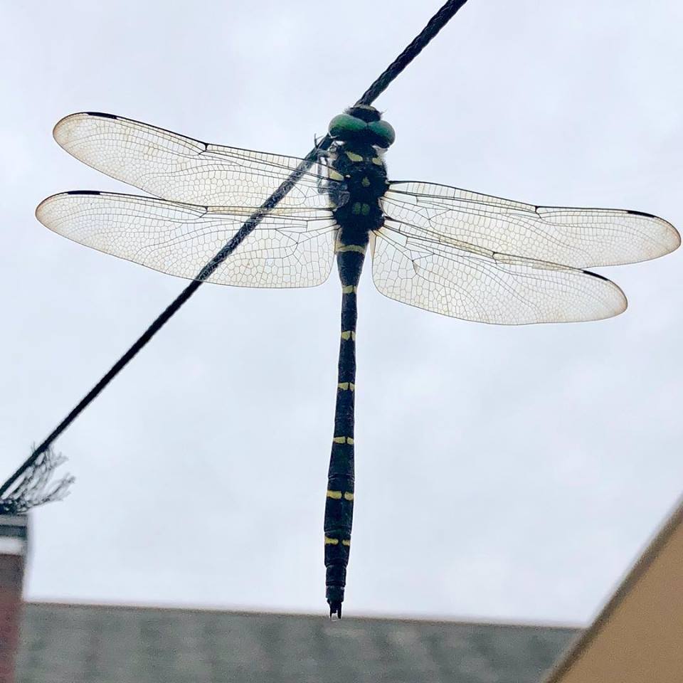 c0123363_16311597.jpg