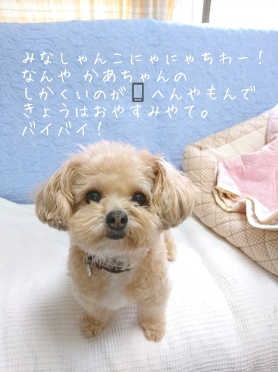 9/14(金) きょうはおやすみ (TT)_d0362666_19180621.jpg