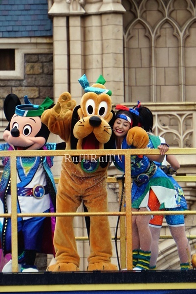 d0040877_23471748.jpg
