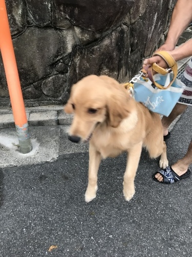 f0315081_23365986.jpeg