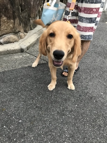 f0315081_23373899.jpeg
