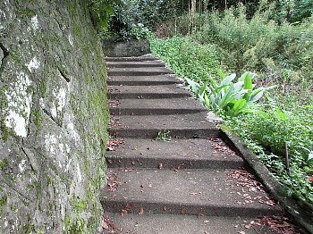 f0003283_19302749.jpg