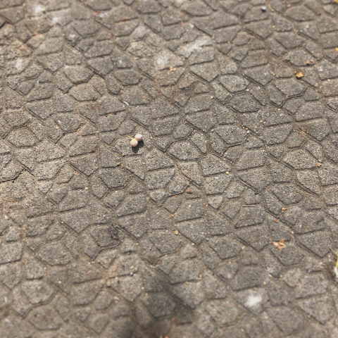 e0330790_10324108.jpg