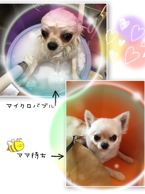 d0269898_14191358.jpeg