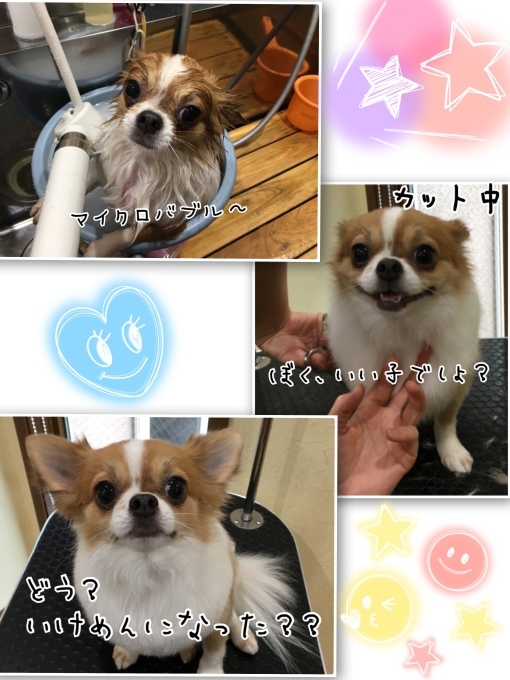 d0269898_14201545.jpeg