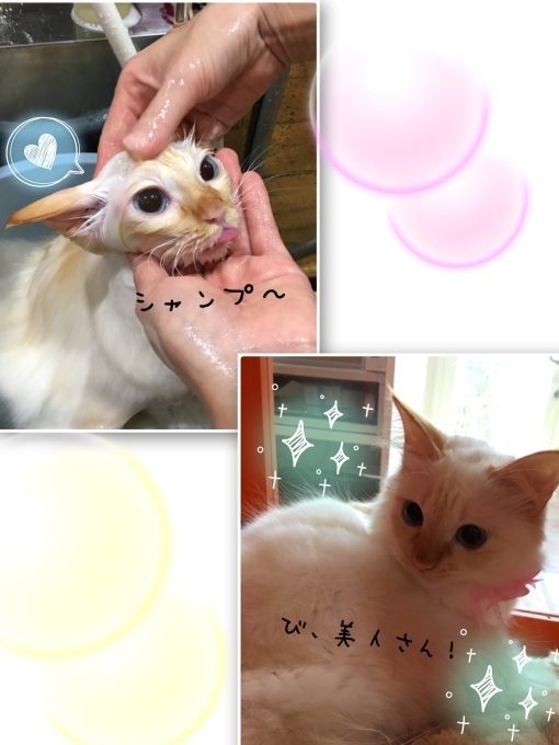 d0269898_14244497.jpeg