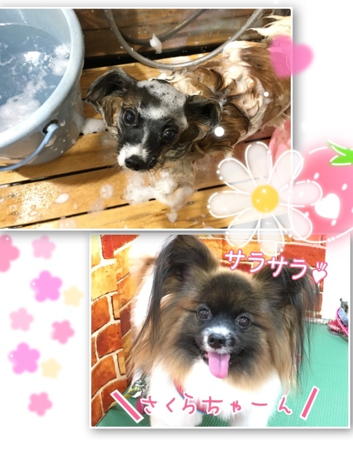 d0269898_14255215.jpeg